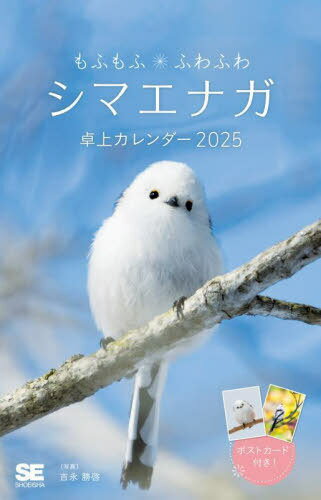դ դդ ޥʥ 奫[/] 2025 / ȱʾ