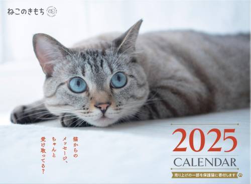 ͤΤ Ƚ [/] 2025 / ٥ͥåݥ졼