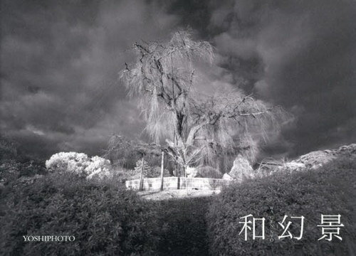 ¸[/] / YOSHIPHOTO/
