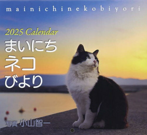  ޤˤͥӤ[/] 2025 / Ұ