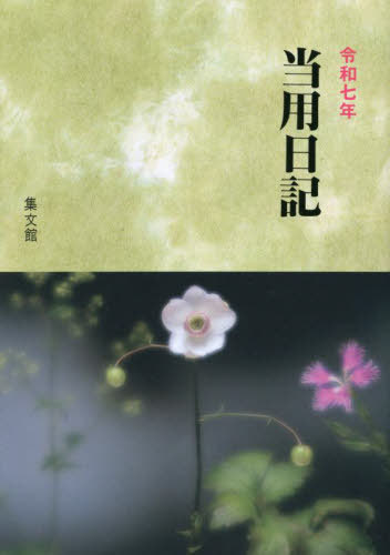 ʸ 3.淿[/] 2025ǯ / ʸ