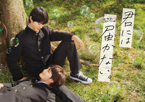 君には届かない。[Blu-ray] Blu-ray BOX / TVドラマ