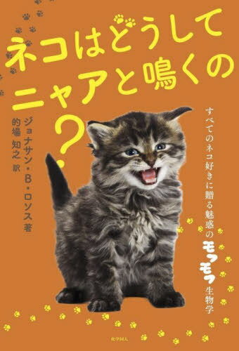 ͥϤɤƥ˥㥢Ĥ? ٤ƤΥͥ£̥ǤΥեʪ / ȥ:The Cats Meow[/] / ʥB....