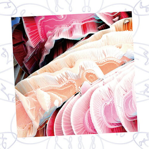 NV[CD] [] / NAQT VANE