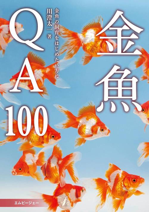 QA100 Ȥˡ˿µк λϤ᤿[/] (饤դ) (ñܡå) / /