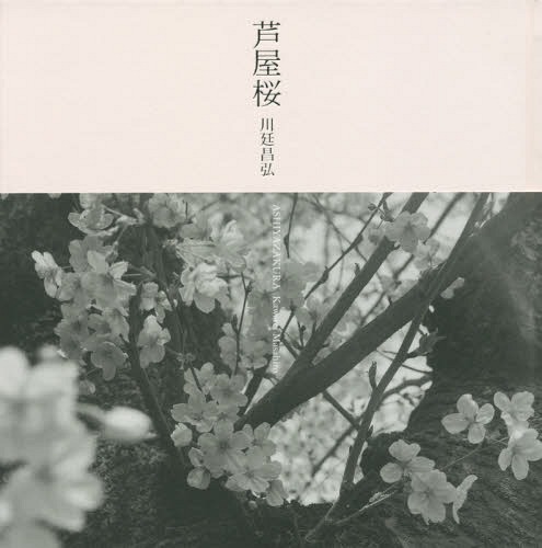 芦屋桜[本/雑誌] / 川廷昌弘/著