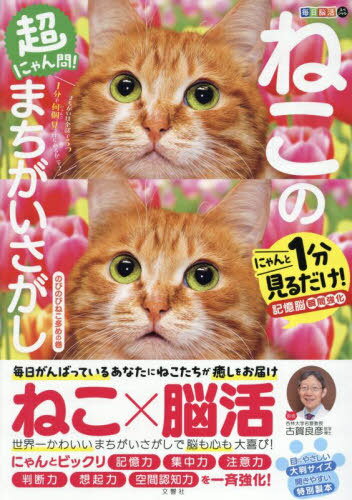 ͤΤޤ ΤӤΤӤͤ¿[/] (Ǿ襹ڥ) / Ųɧ