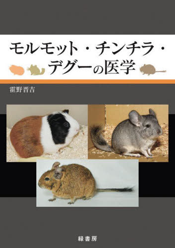 åȡ顦ǥΰ[/] / /