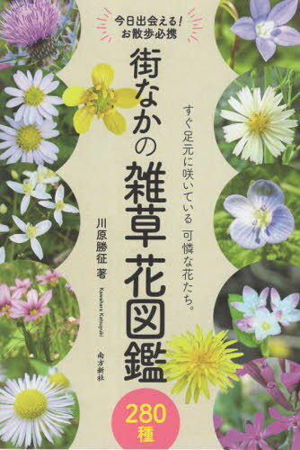 街なかの雑草花図鑑[本/雑誌] / 川原勝征
