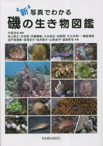 ̿Ǥ狼ʪ޴[/] / / ͭǷ/̤ۤͶ