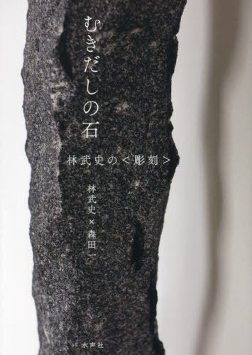むきだしの石 林武史の〈彫刻〉[本/雑誌] / 林武史/著 森田一/著