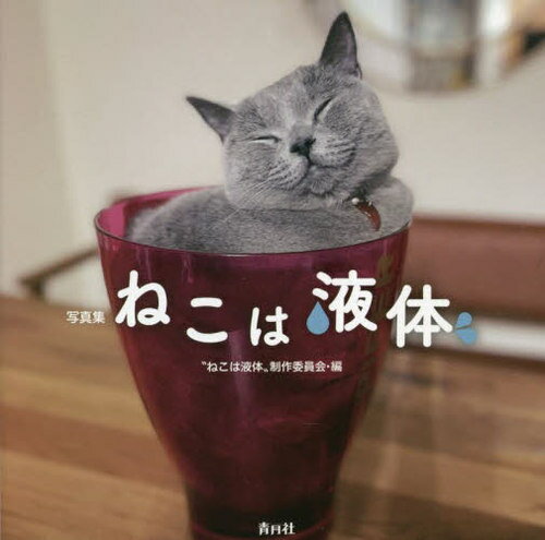 ねこは液体 写真集[本/雑誌] / “ねこは液体”制作委員会/編