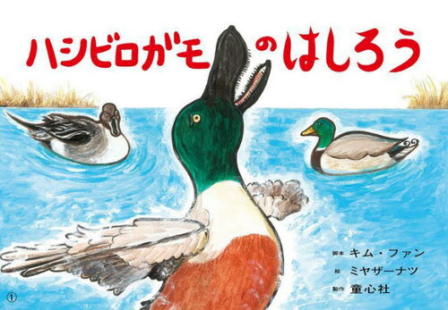 ハシビロガモのはしろう[本/雑誌] (ともだちだいすき) / キムファン/脚本 ミヤザーナツ/絵