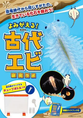 ߤ!奨Ӹ[/] / ʲŹ