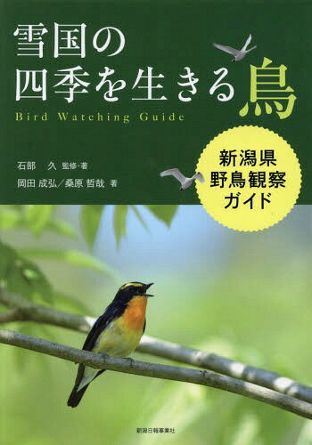 雪国の四季を生きる鳥 新潟県野鳥観察ガイ[本/雑誌] / 石部久/監修・著 岡田成弘/著 桑原哲哉/著