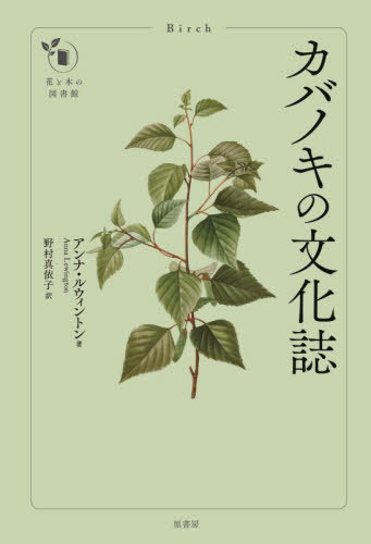 カバノキの文化誌 / 原タイトル:Birch[本/雑誌] (花と木の図書館) / アンナ・ルウィントン/著 野村真依..