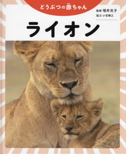 ライオン[本/雑誌] (どうぶつの赤ちゃん) / 増井光子/監修 小宮輝之協力