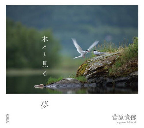 木々と見る夢[本/雑誌] / 菅原貴徳/写真・文