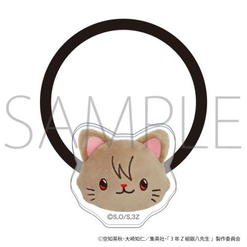 ڥࡼӥå3ǯZ Ȭ withCAT photograph Ver. إ /  [亲]2025ǯ9ȯ[...