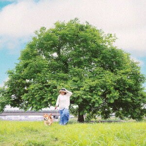 あの想いは夜の中[CD] / 松野里枝