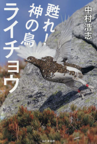 甦れ!神の鳥ライチョウ[本/雑誌] / 中村浩志/著