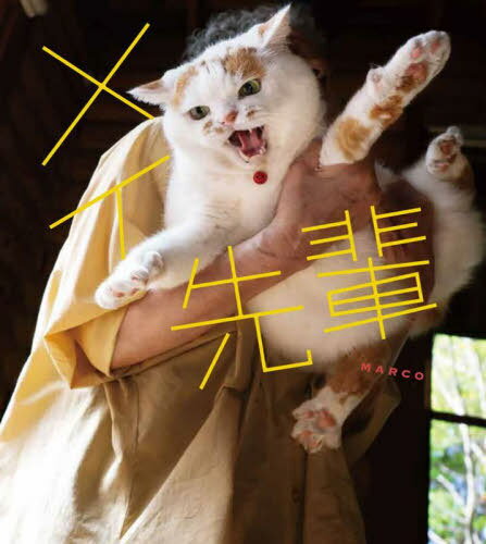 メイ先輩[本/雑誌] / MARCO/著