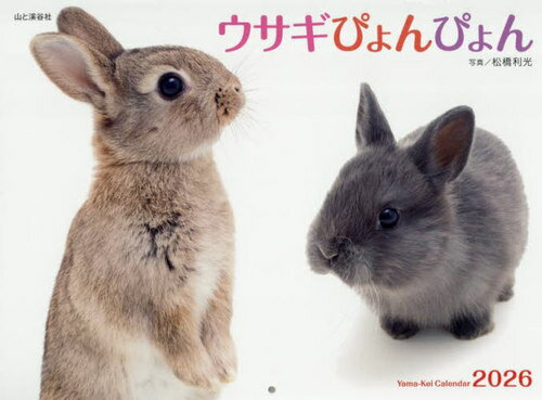 カレンダー ウサギぴょんぴょん[本/雑誌] 2026 / 松橋利光