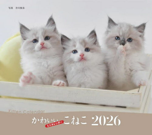 ミニカレンダー かわいいこねこ[本/雑誌] 2026年版 / 井川俊彦