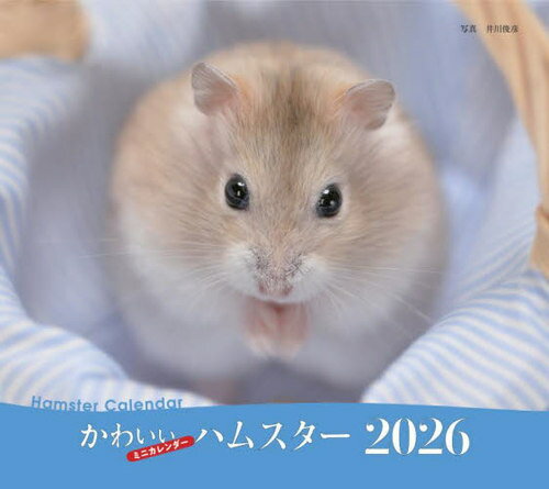 ミニカレンダー かわいいハムスター[本/雑誌] 2026年版 / 井川俊彦