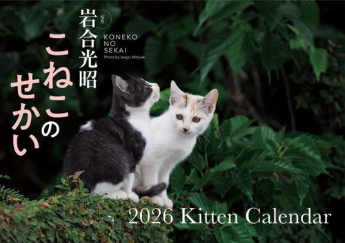 S17 こねこのせかい[本/雑誌] (2026年版カレンダー) / 岩合光昭