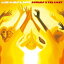 Journey 2 the Light[CD] / ޡɡ饤