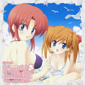 ドラマCD HoneyComing ～one more chime!～[CD] / ドラマCD (平野響子、桃井いちご、桜川未央、他)