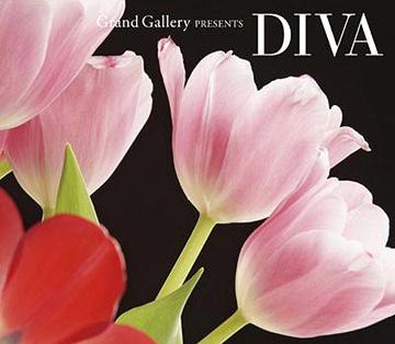 Grand Gallery presents DIVA[CD] / オムニバス