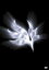 orbital period[DVD] / BUMP OF CHICKEN