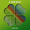 A SIDE SPLIT[CD] Vol.1 ～grass field～ / A SIDE SPLIT (ザ・ルーズドッグス/redballoon/AJISAI/Cure Rubbish)