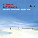 ETERNAL LANDSCAPE[CD] / Skoop On Somebody+織田哲郎