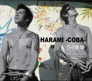 ライ麦畑[CD] / HARAMI -COBA-