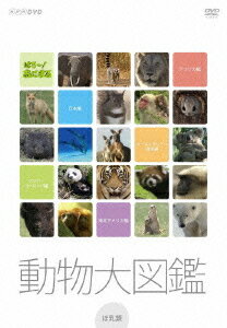 はろ～! あにまる 動物大図鑑[DVD] DVD-BOX / 趣味教養