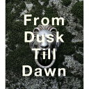 From Dusk Till Dawn[CD] / abingdon boys school