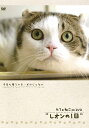 カフェねこonDVD レオンの1日[DVD] / 趣味教養