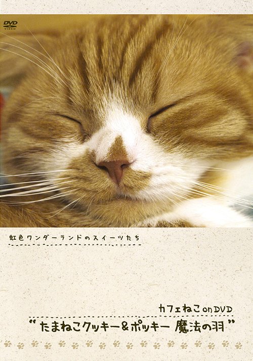 カフェねこonDVD たまねこクッキー&ジャック 魔法の羽[DVD] / 趣味教養