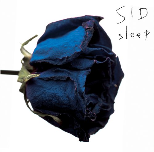 sleep[CD] [̾] / 