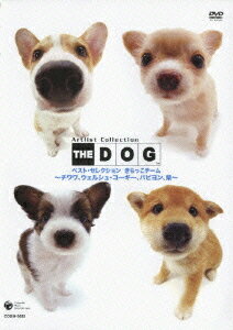 THE DOG ベスト・セレクション きらっこチーム～チワワ、コーギー、パピオン、柴～ / 趣味教養