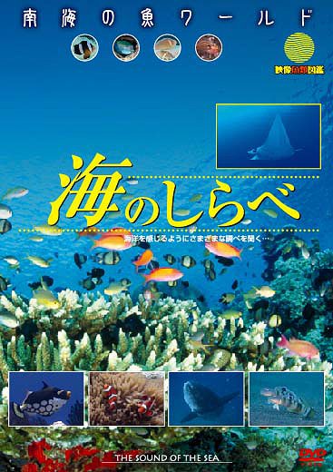 南海の魚ワールド 海のしらべ 映像魚類図鑑[DVD] / 趣味教養