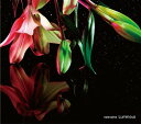 Luminous[CD] / note native