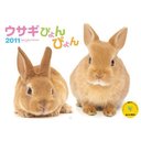 カレンダー 2011 ウサギぴょんぴょん / 山と溪谷社