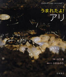 うまれたよ!アリ[本/雑誌] (よみきかせいきものしゃしんえほん) (児童書) / 山口進 小杉みのり