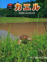 カエル[本/雑誌] 両生類と水辺の生き物 (科学のアルバム・かがやくいのち) (児童書) / 関慎太郎/著 福山欣司/監修