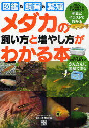 書籍のメール便同梱は2冊 /メダカの飼い方と増やし方がわかる本図鑑&飼育&繁殖 本/雑誌 (単行本・ムック)/青木崇浩