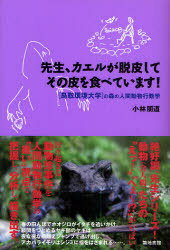 先生、カエルが脱皮してその皮を食べています![本/雑誌] (鳥取環境大学の森の人間動物行動学) (単行本・ムック) / 小林朋道